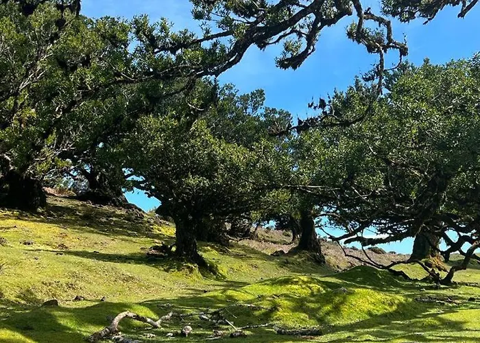 Baia Seixal Oceanfront Seixal (Madeira)