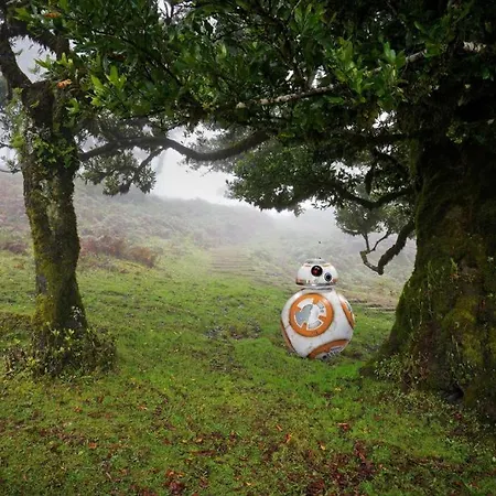 Baia Seixal Oceanfront