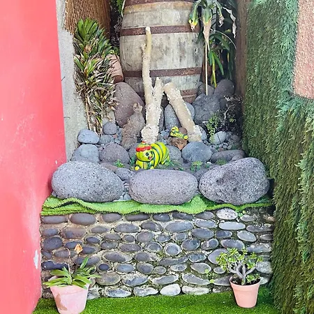 Baia Seixal Oceanfront *