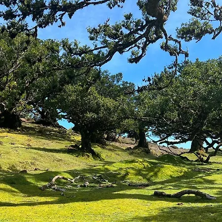 Baia Seixal Oceanfront Seixal (Madeira)